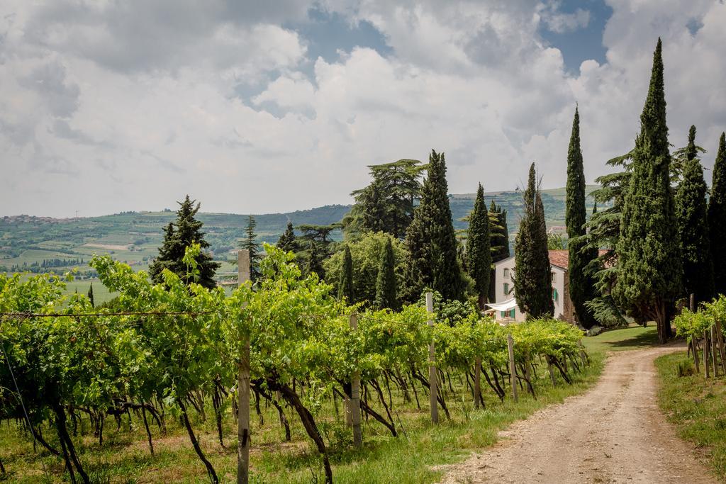 Villa Massimago Wine Relais Mezzane di Sotto Exterior foto