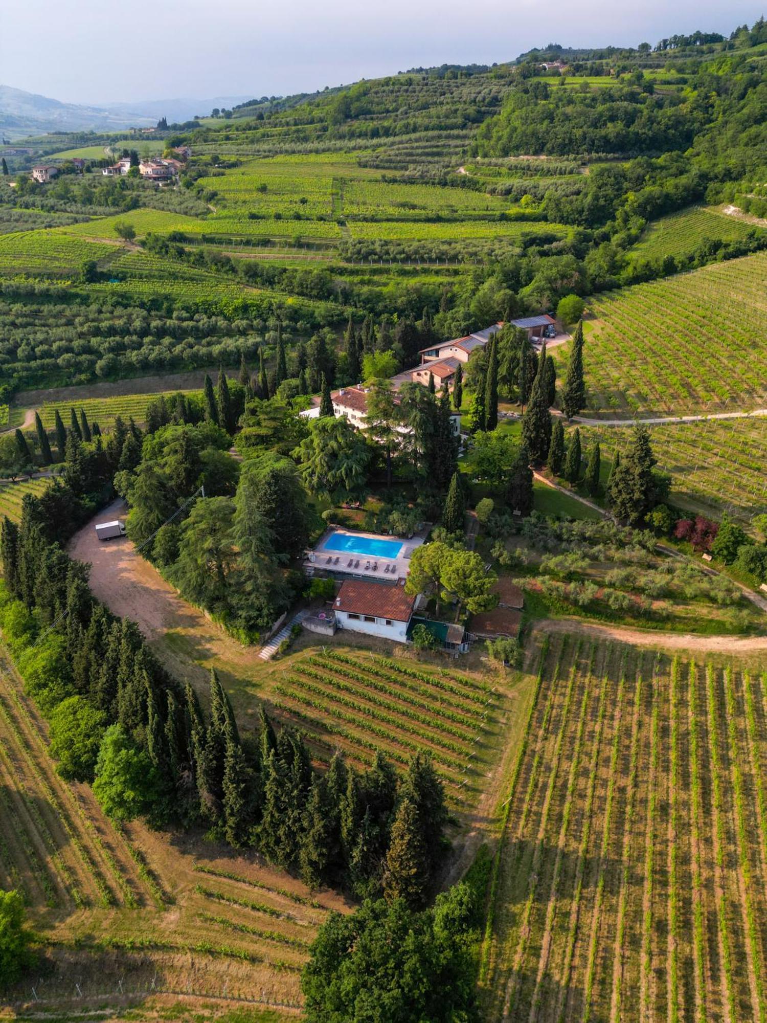 Villa Massimago Wine Relais Mezzane di Sotto Exterior foto